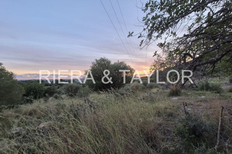 Teren niezagospodarowany na sprzedaż w Sant Llorenc des Cardassar - 15 000 € (Ref: 9427557)