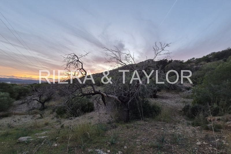 Teren niezagospodarowany na sprzedaż w Sant Llorenc des Cardassar - 15 000 € (Ref: 9427557)