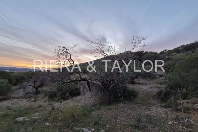 Mark till salu i Sant Llorenç des Cardassar - 15 000 € (Ref: 9427557)