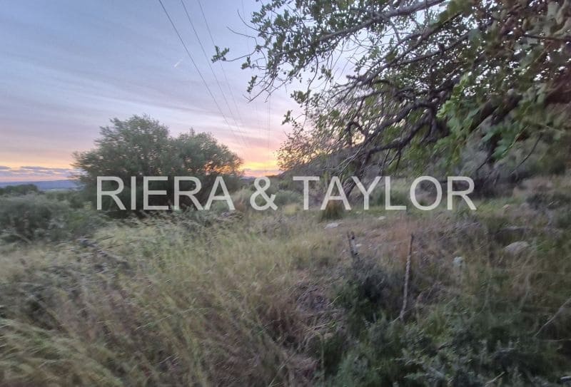 Teren niezagospodarowany na sprzedaż w Sant Llorenc des Cardassar - 15 000 € (Ref: 9427557)