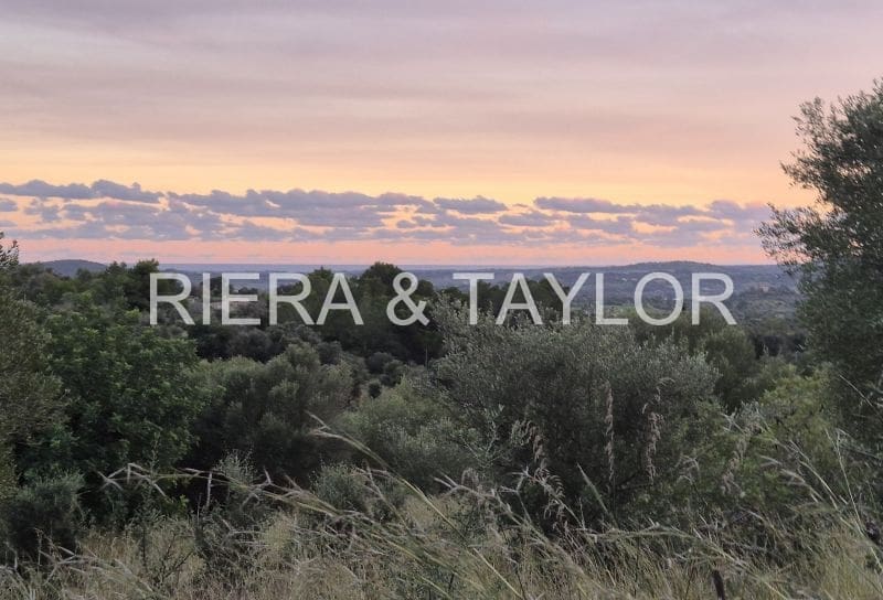 Teren niezagospodarowany na sprzedaż w Sant Llorenc des Cardassar - 15 000 € (Ref: 9427557)