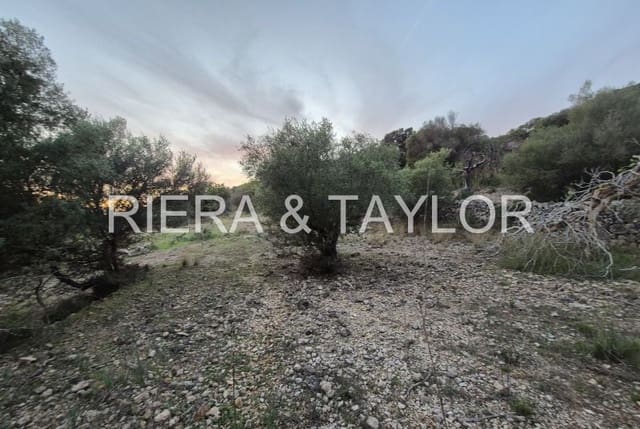 Mark till salu i Sant Llorenç des Cardassar - 15 000 € (Ref: 9427557)