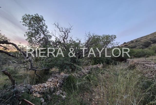 Mark till salu i Sant Llorenç des Cardassar - 15 000 € (Ref: 9427557)