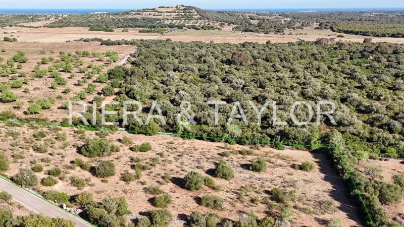 Landgrundstück zu verkaufen in Sant Llorenc des Cardassar - 250.000 € (Ref: 9444881)