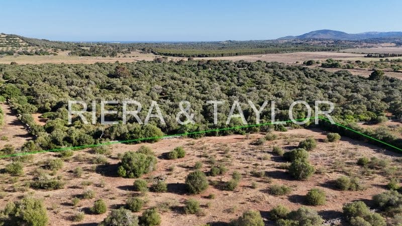 Landgrundstück zu verkaufen in Sant Llorenc des Cardassar - 250.000 € (Ref: 9444881)