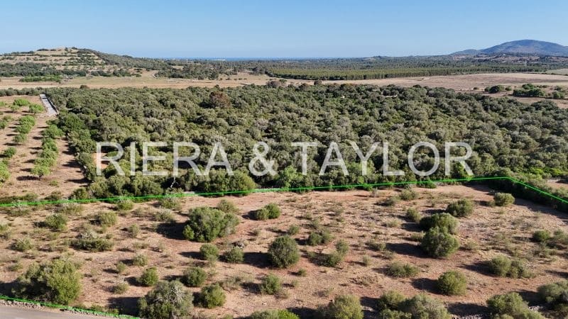 Landgrundstück zu verkaufen in Sant Llorenc des Cardassar - 250.000 € (Ref: 9444881)