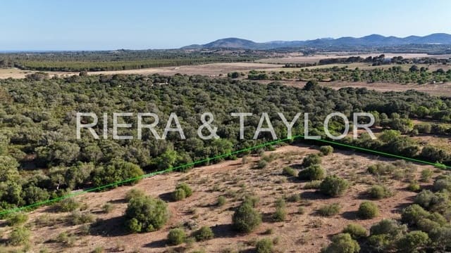 Undeveloped Land for sale in Sant Llorenç des Cardassar - € 250,000 (Ref: 9444881)