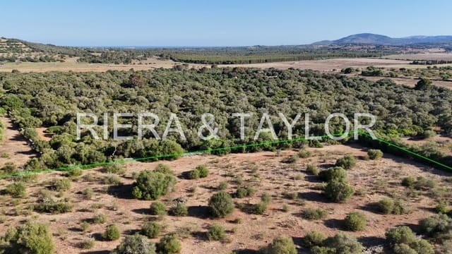Undeveloped Land for sale in Sant Llorenç des Cardassar - € 250,000 (Ref: 9444881)