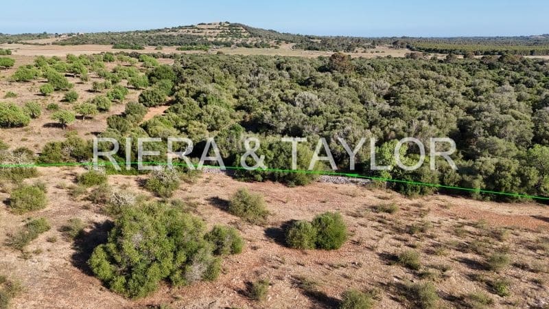 Landgrundstück zu verkaufen in Sant Llorenc des Cardassar - 250.000 € (Ref: 9444881)