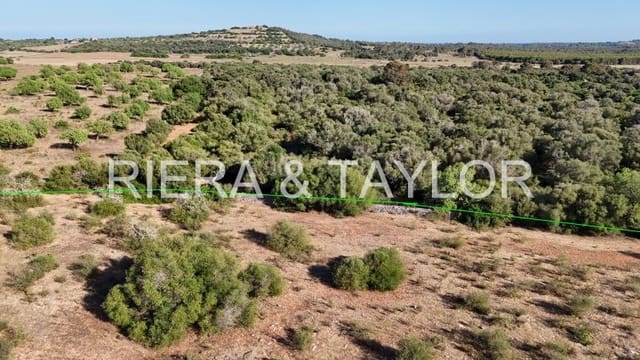 Undeveloped Land for sale in Sant Llorenç des Cardassar - € 250,000 (Ref: 9444881)