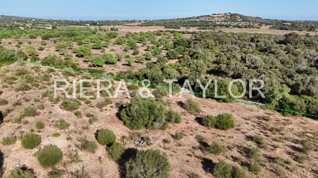 Undeveloped Land for sale in Sant Llorenç des Cardassar - € 250,000 (Ref: 9444881)