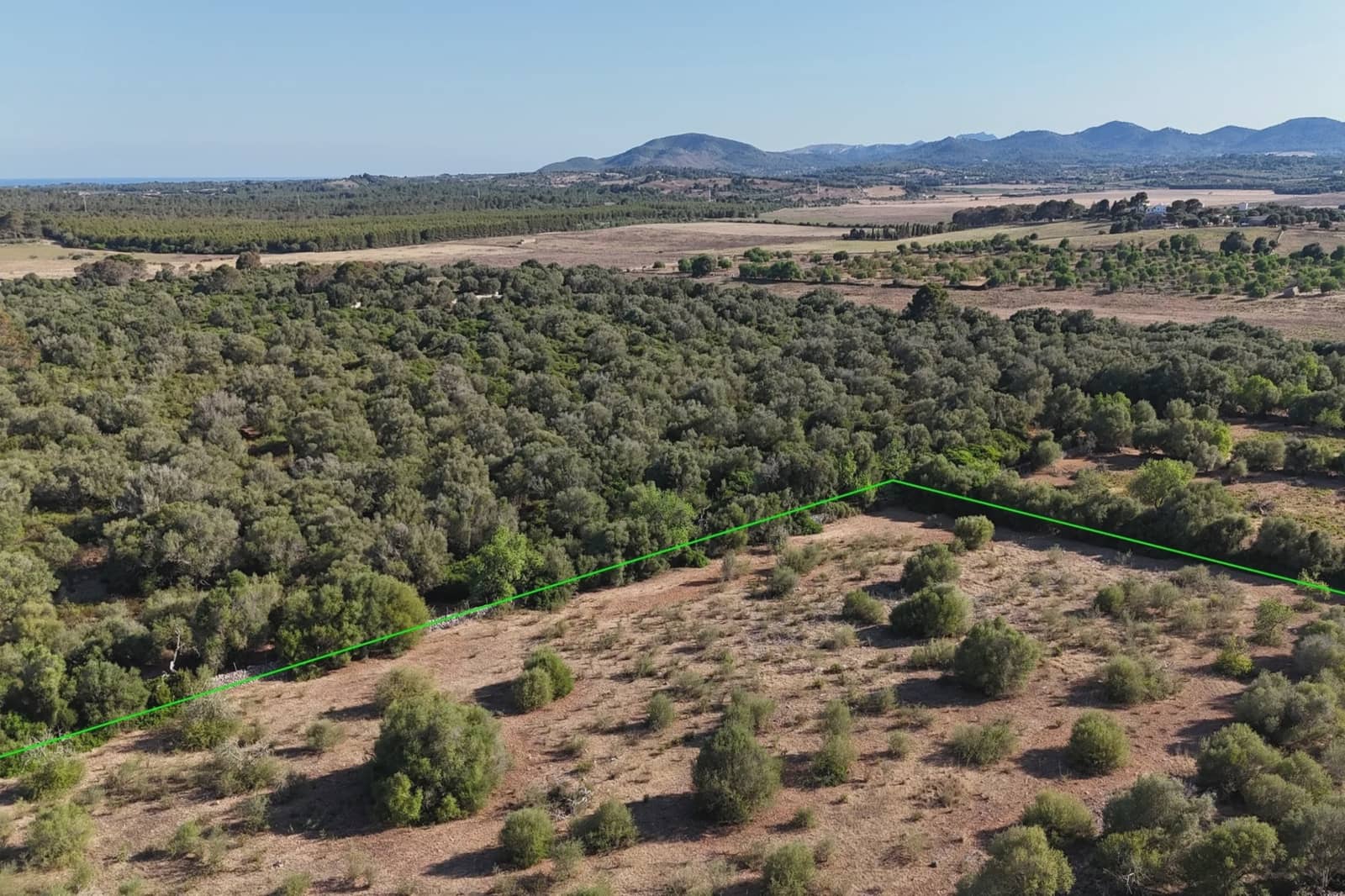 Undeveloped Land for sale in Sant Llorenc des Cardassar - € 250,000 (Ref: 9444881)