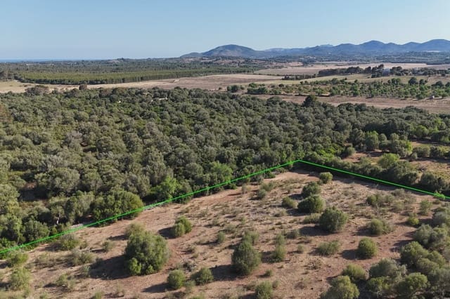 Grond te koop in Sant Llorenç des Cardassar - € 250.000 (Ref: 9444881)