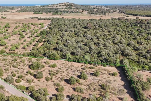 Grond te koop in Sant Llorenç des Cardassar - € 250.000 (Ref: 9444881)