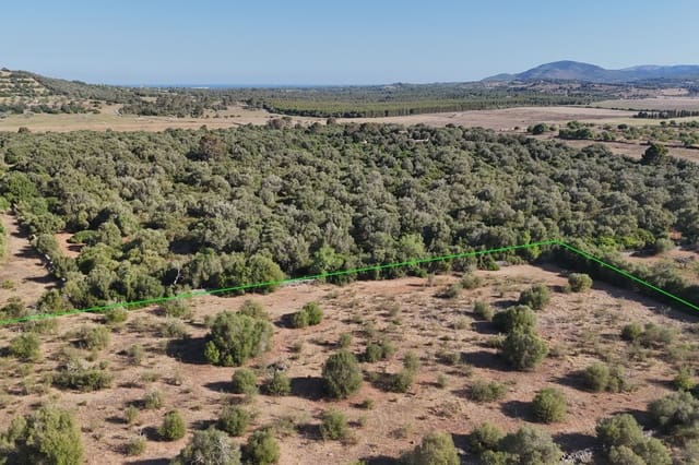 Grond te koop in Sant Llorenç des Cardassar - € 250.000 (Ref: 9444881)