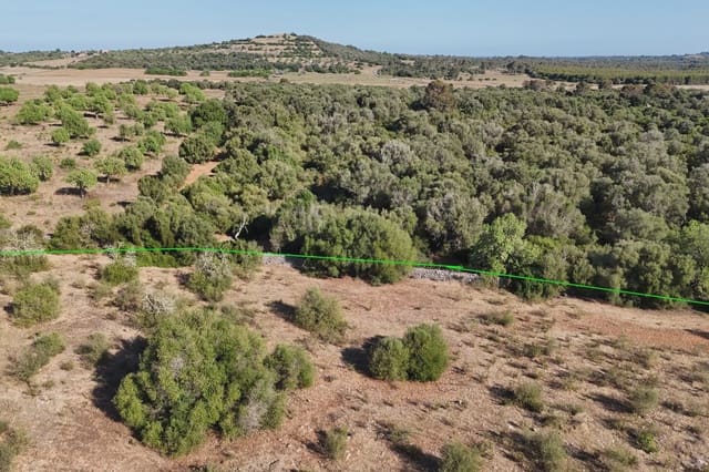 Grond te koop in Sant Llorenç des Cardassar - € 250.000 (Ref: 9444881)
