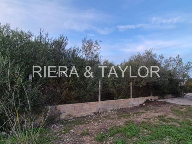 Ubebygd land til salgs i Sant Llorenç des Cardassar - € 120 000 (Ref: 9450500)