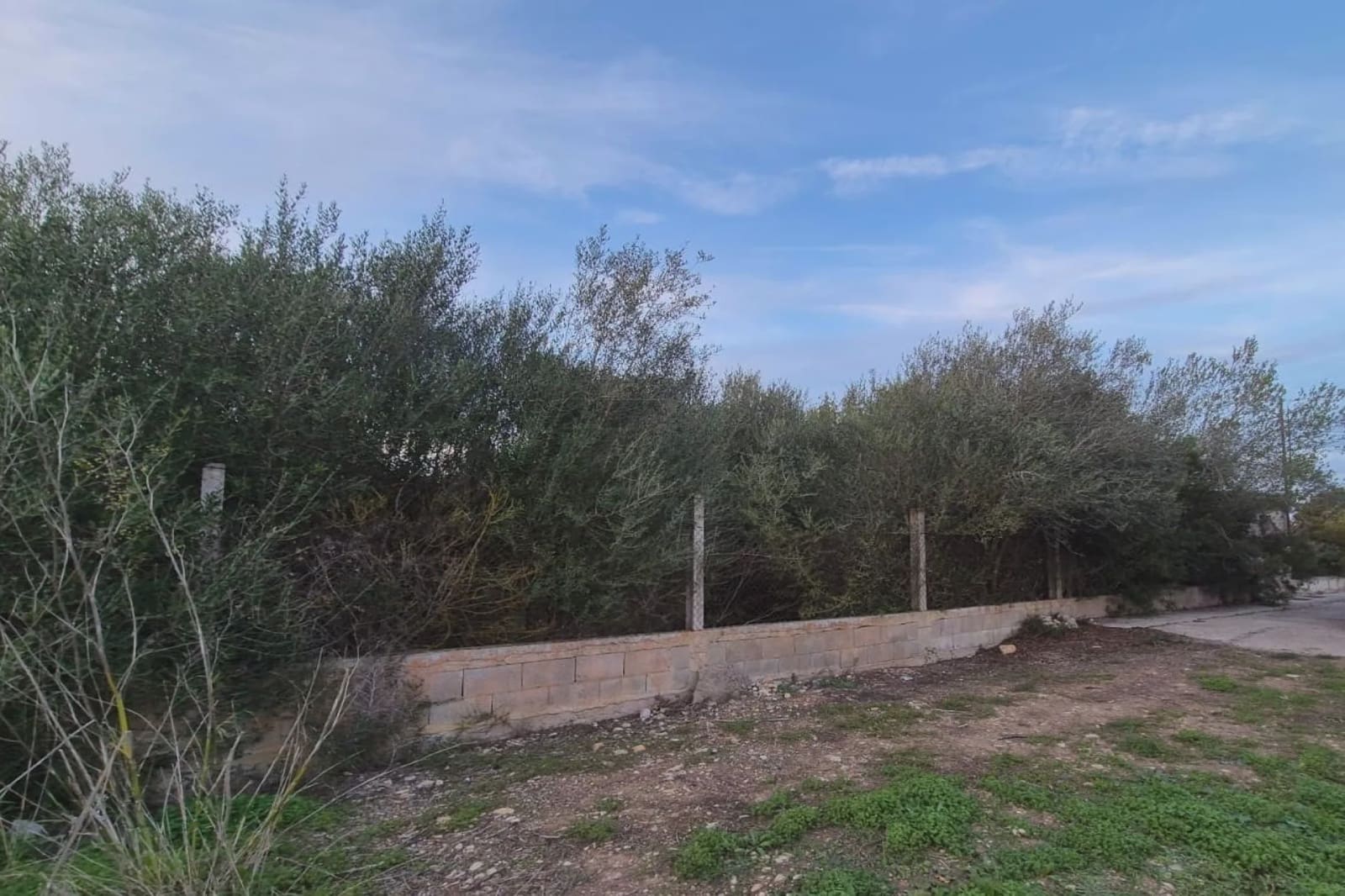Undeveloped Land for sale in Sant Llorenc des Cardassar - € 105,000 (Ref: 9450500)