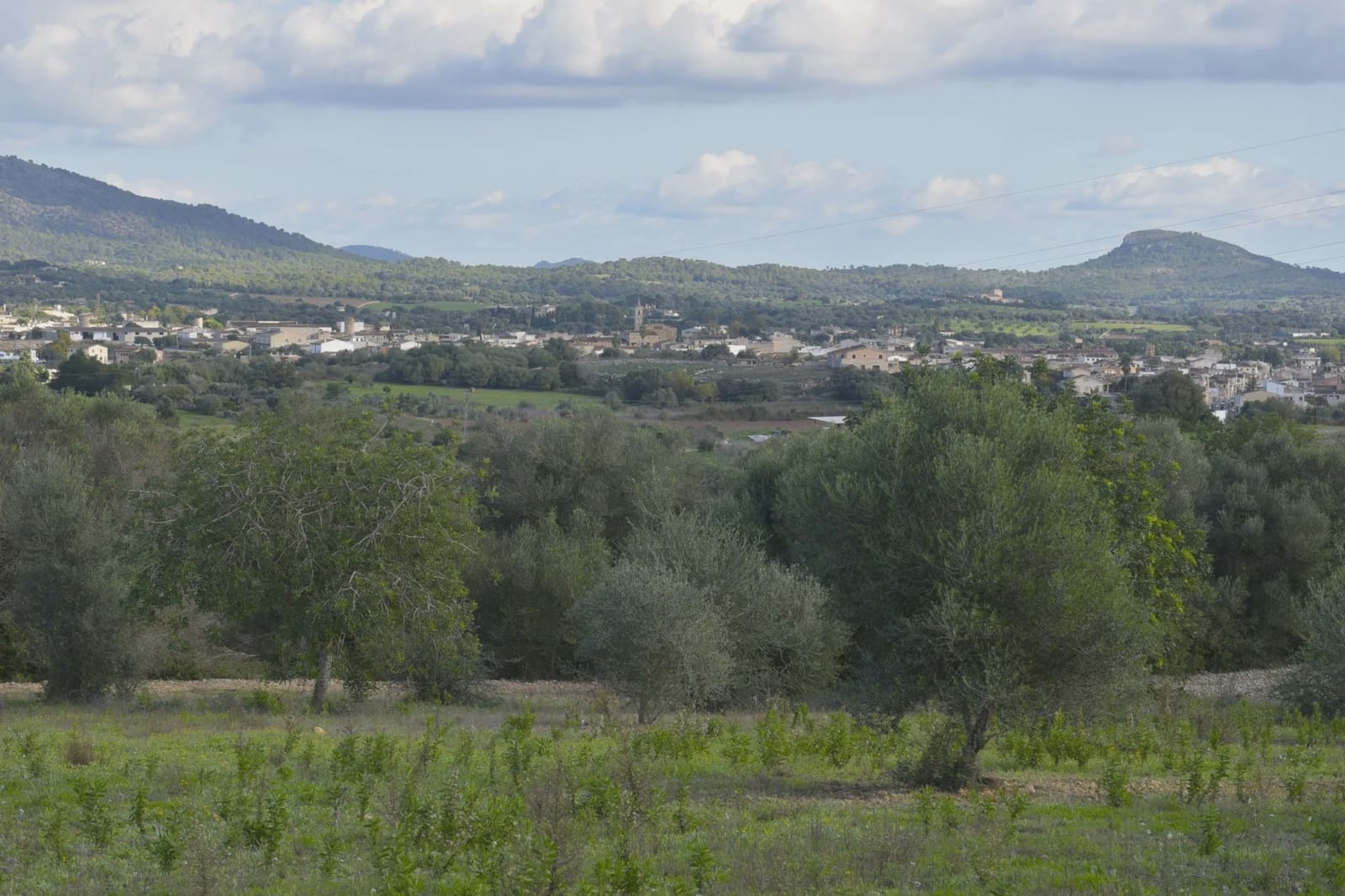 Undeveloped Land for sale in Sant Llorenc des Cardassar - € 310,000 (Ref: 9454808)