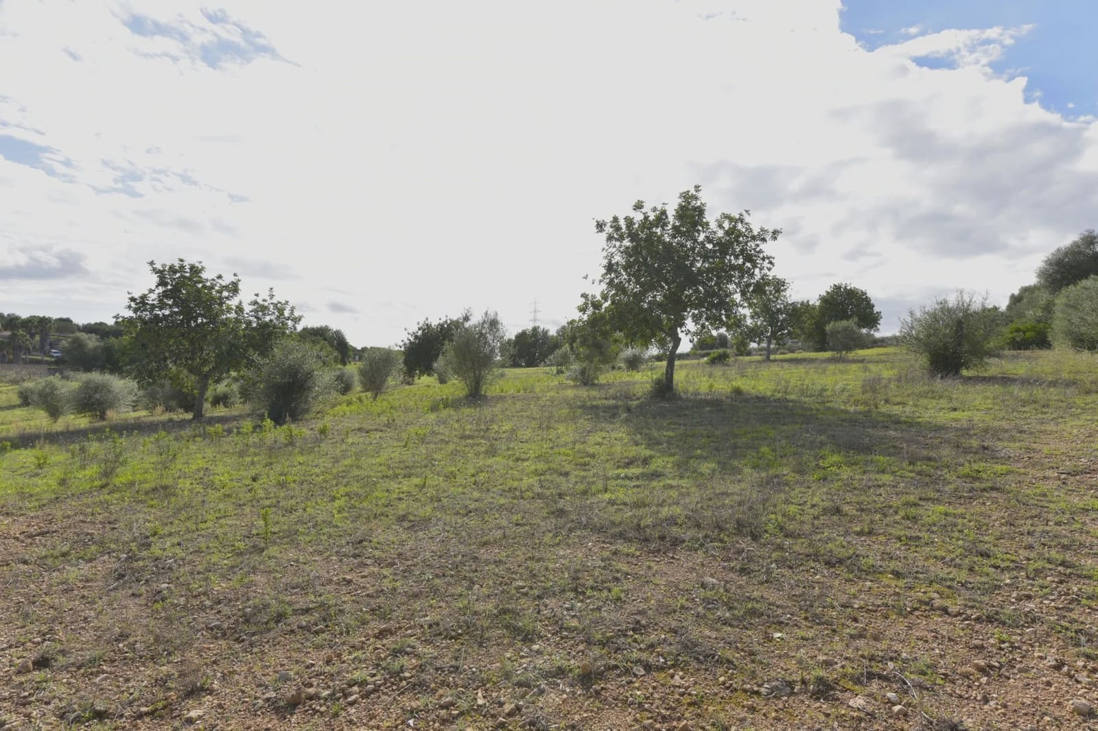 Undeveloped Land for sale in Sant Llorenc des Cardassar - € 310,000 (Ref: 9454808)