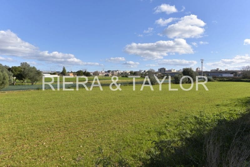 Rakentamaton maa myytävänä paikassa Manacor - 29 000 € (Ref: 9486491)