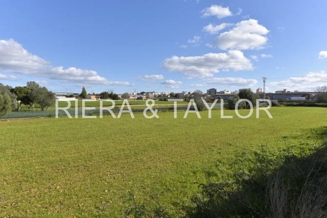 Rakentamaton maa myytävänä paikassa Manacor - 29 000 € (Ref: 9486491)