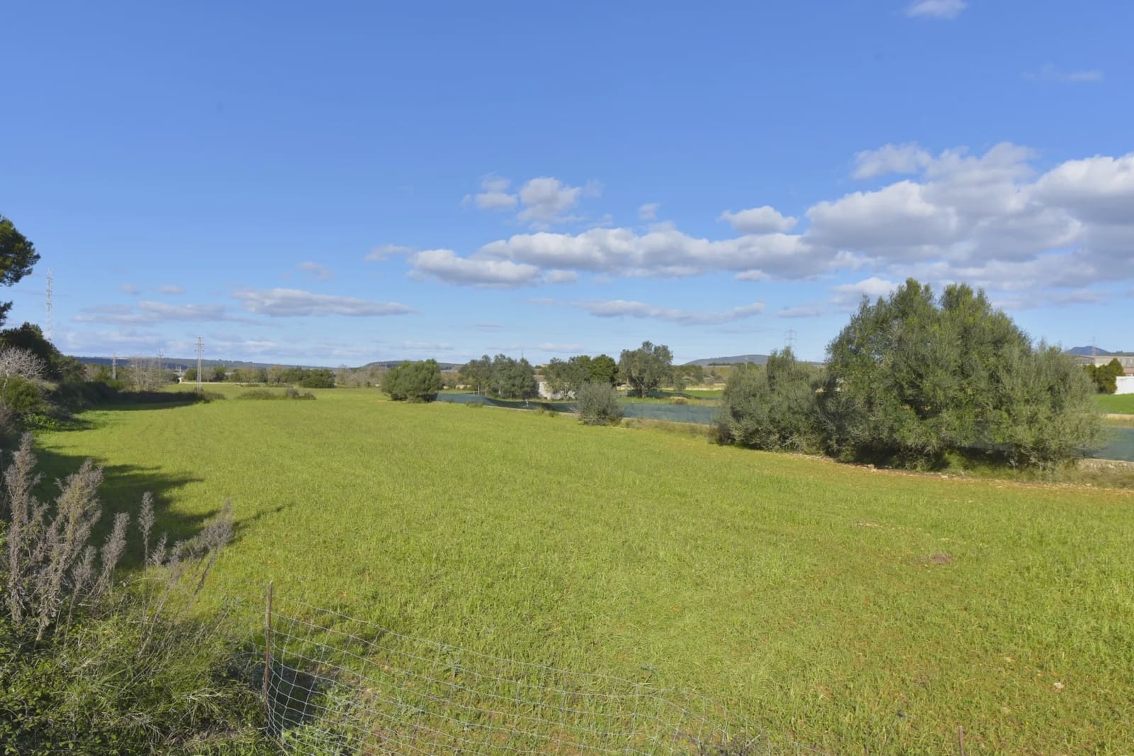 Undeveloped Land for sale in Manacor - € 29,000 (Ref: 9486491)