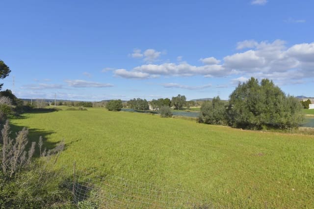 Grunde uden byggetilladelser til salg i Manacor - € 29.000 (Ref: 9486491)