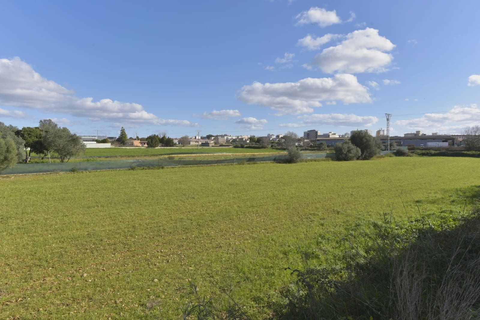 Undeveloped Land for sale in Manacor - € 29,000 (Ref: 9486491)