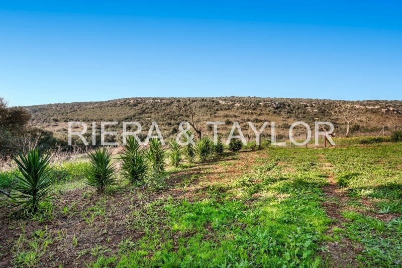 4 sypialnia Finka/Dom wiejski na sprzedaż w Manacor - 1 200 000 € (Ref: 9521755)