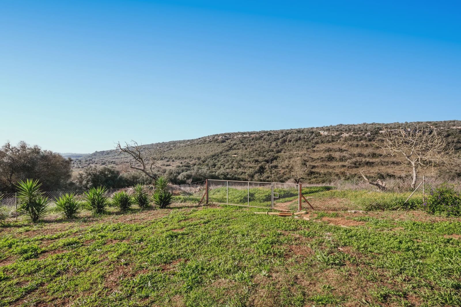 4 soverom Finca/Herregård til salgs i Manacor - € 1 200 000 (Ref: 9521755)