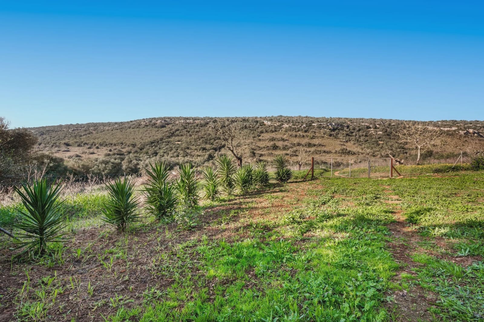 4 soverom Finca/Herregård til salgs i Manacor - € 1 200 000 (Ref: 9521755)