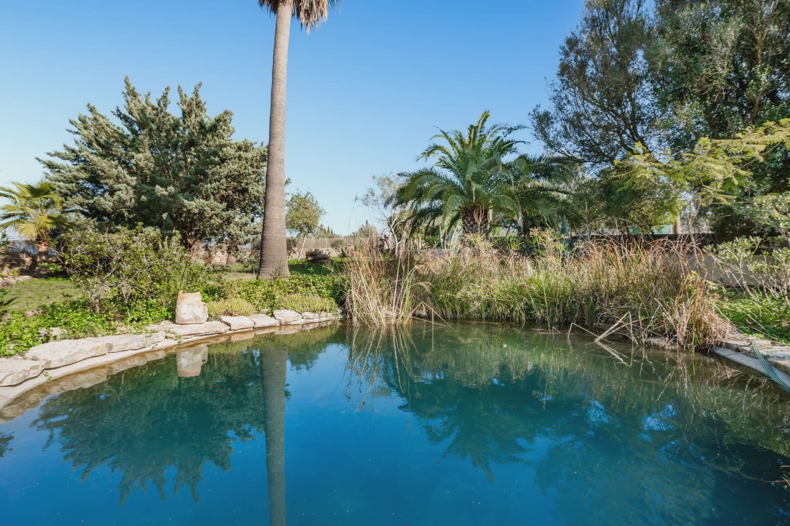 4 soverom Finca/Herregård til salgs i Manacor - € 1 200 000 (Ref: 9521755)