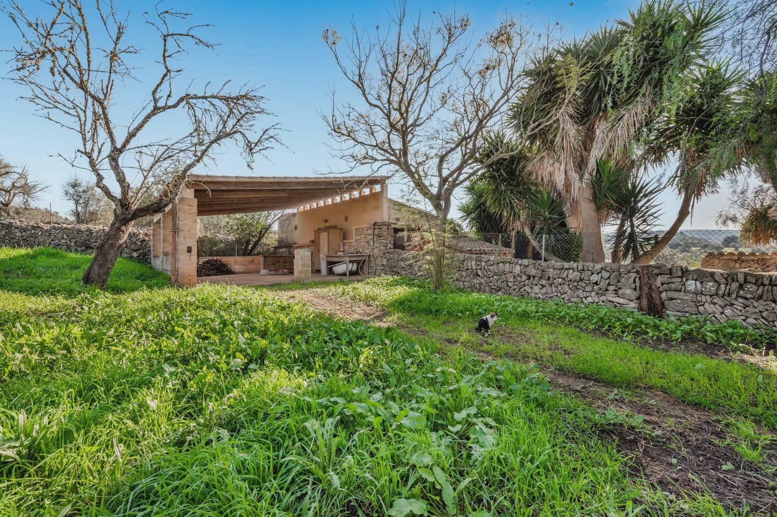 4 soverom Finca/Herregård til salgs i Manacor - € 1 200 000 (Ref: 9521755)