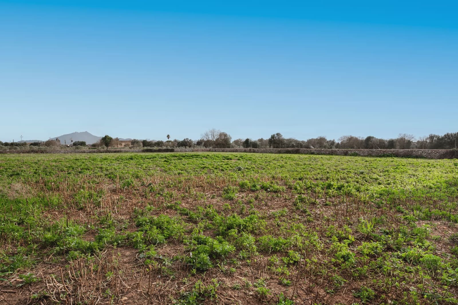 3 bedroom Finca/Country House for sale in Felanitx - € 750,000 (Ref: 9548575)