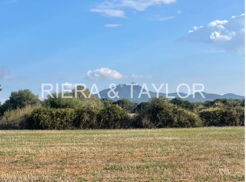 Rakentamaton maa myytävänä paikassa Felanitx - 160 000 € (Ref: 9548576)