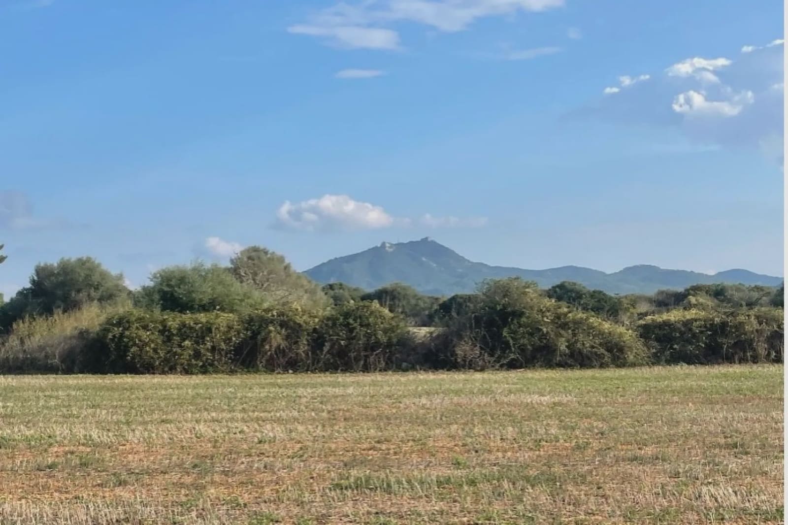 Undeveloped Land for sale in Felanitx - € 160,000 (Ref: 9548576)