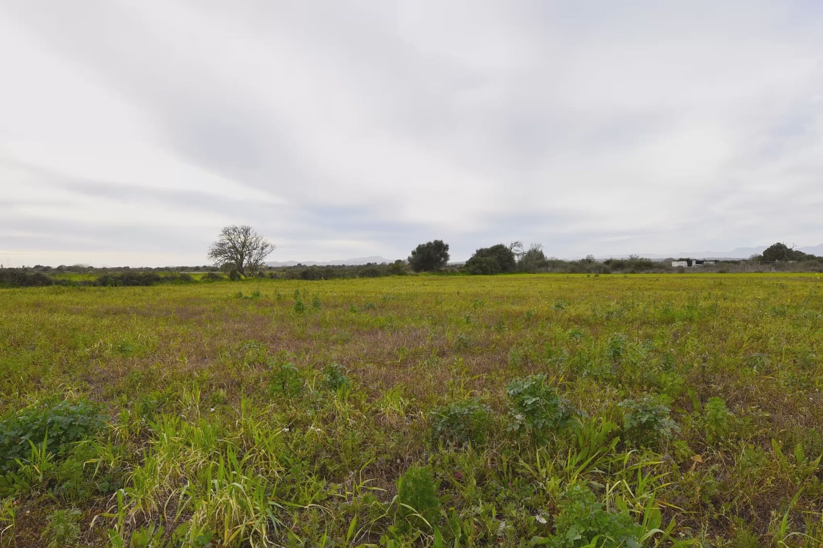 Undeveloped Land for sale in Felanitx - € 160,000 (Ref: 9548576)