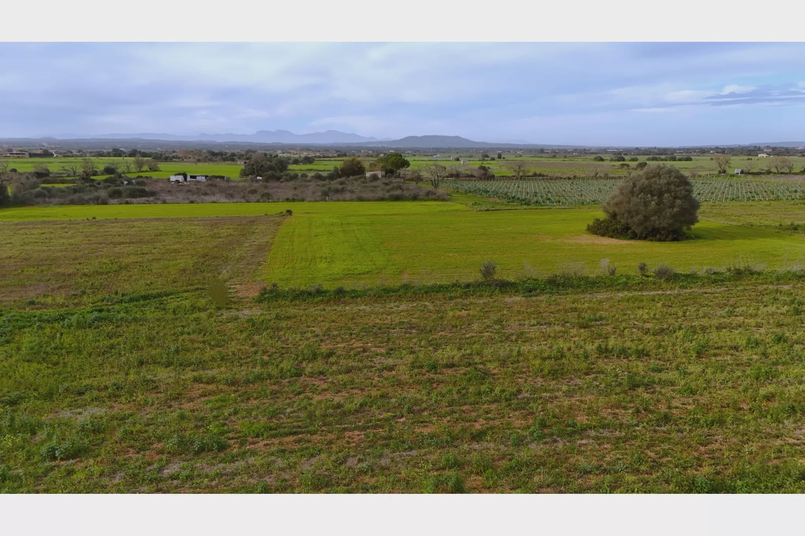 Undeveloped Land for sale in Felanitx - € 160,000 (Ref: 9548576)