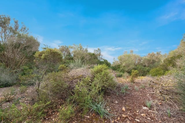 3 soverom Finca/Herregård til salgs i Cala Millor, Son Servera - € 805 000 (Ref: 9569230)