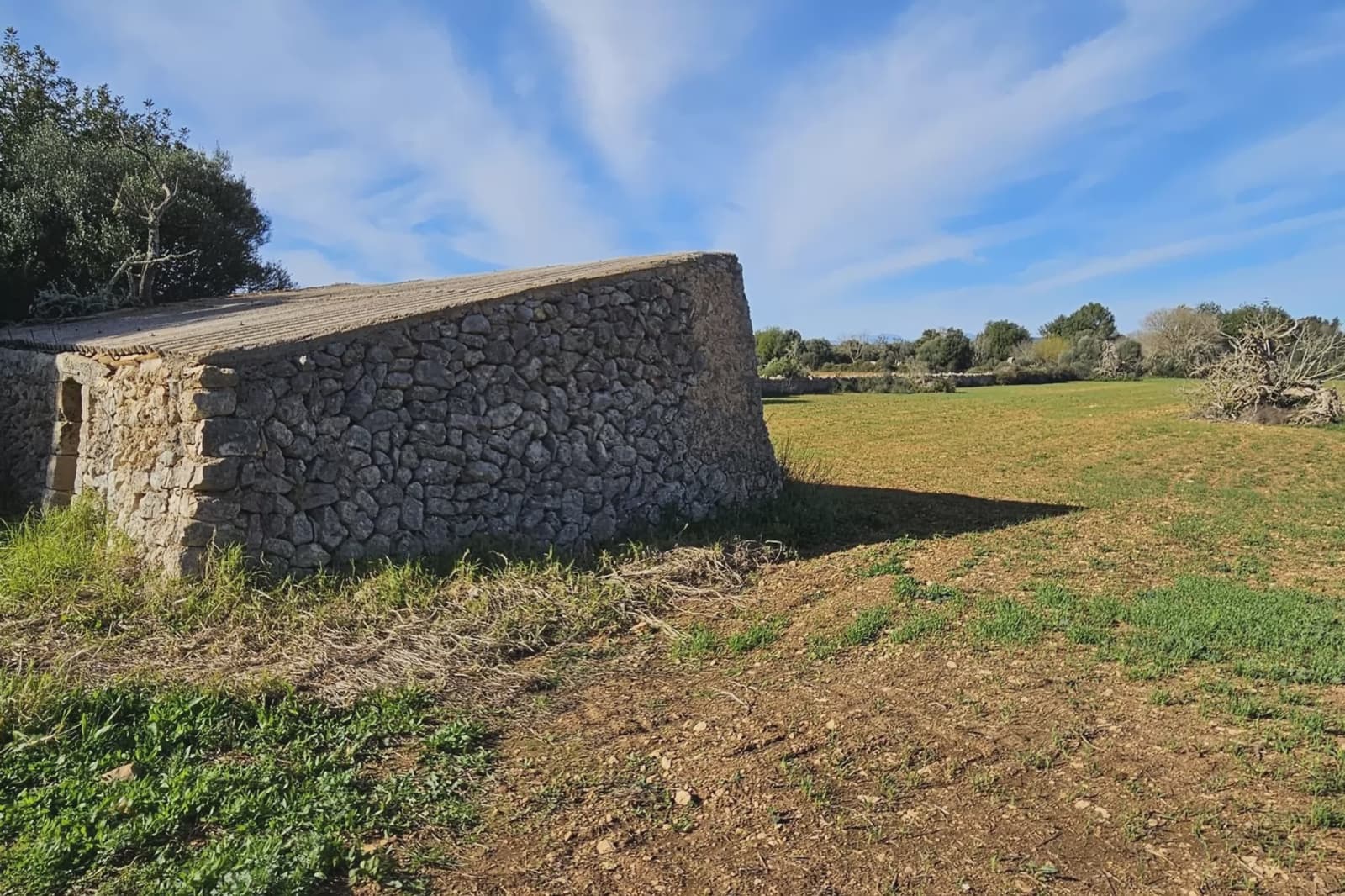 Undeveloped Land for sale in Manacor - € 220,000 (Ref: 9683826)