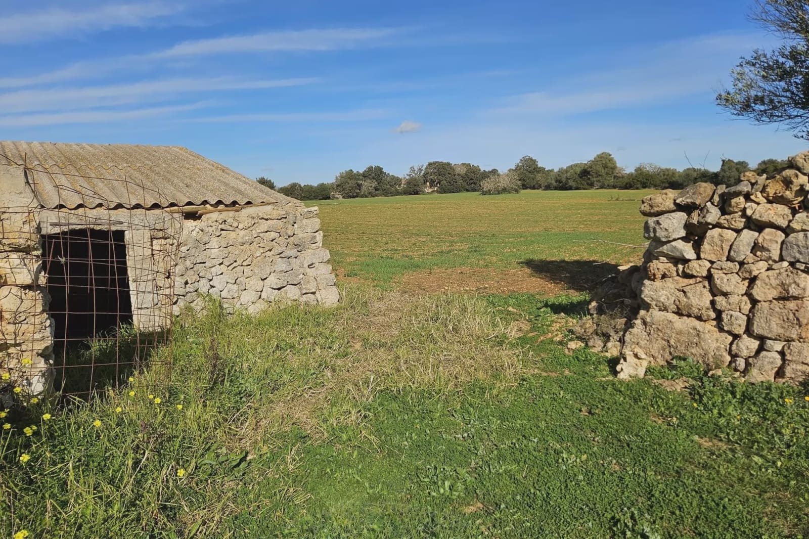 Undeveloped Land for sale in Manacor - € 220,000 (Ref: 9683826)