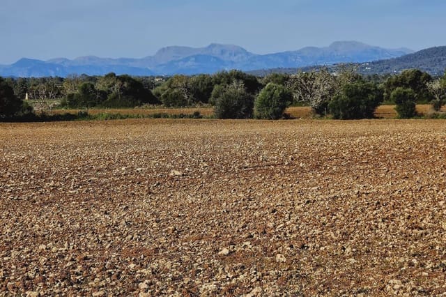 Grunde uden byggetilladelser til salg i Manacor - € 220.000 (Ref: 9683826)