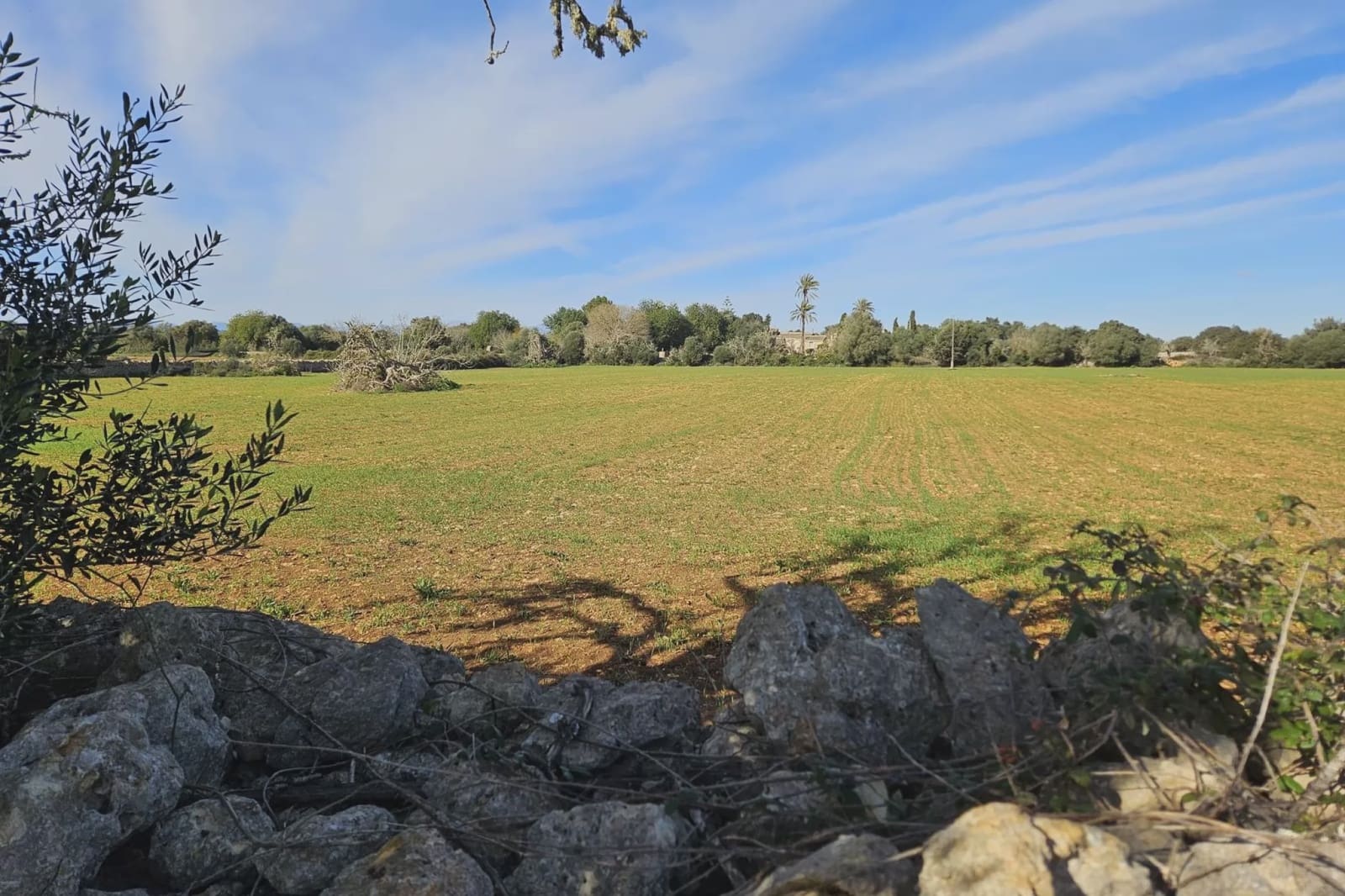 Undeveloped Land for sale in Manacor - € 220,000 (Ref: 9683827)