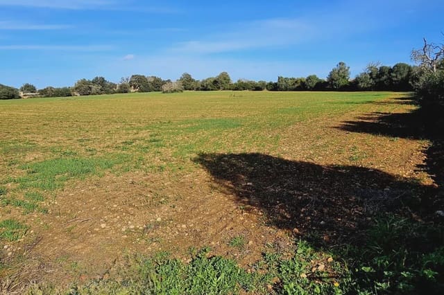 Grunde uden byggetilladelser til salg i Manacor - € 220.000 (Ref: 9683827)