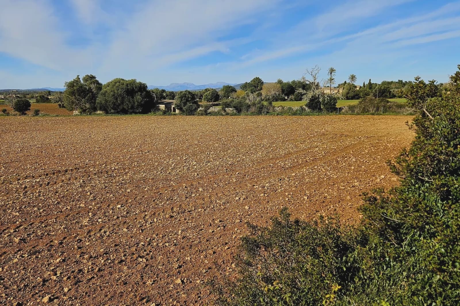 Undeveloped Land for sale in Manacor - € 220,000 (Ref: 9683827)
