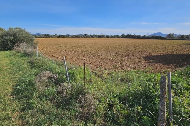 Grunde uden byggetilladelser til salg i Manacor - € 220.000 (Ref: 9683827)