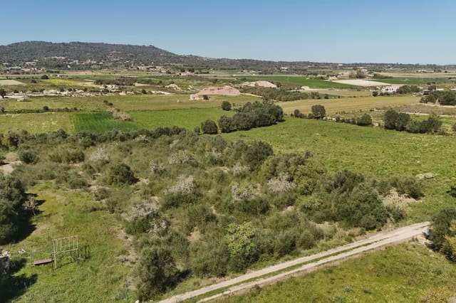 Landgrundstück zu verkaufen in Vilafranca de Bonany - 20.000 € (Ref: 9715335)