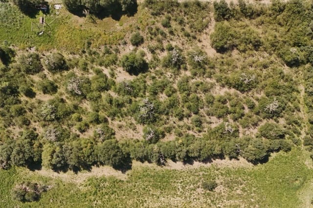 Landgrundstück zu verkaufen in Vilafranca de Bonany - 20.000 € (Ref: 9715335)