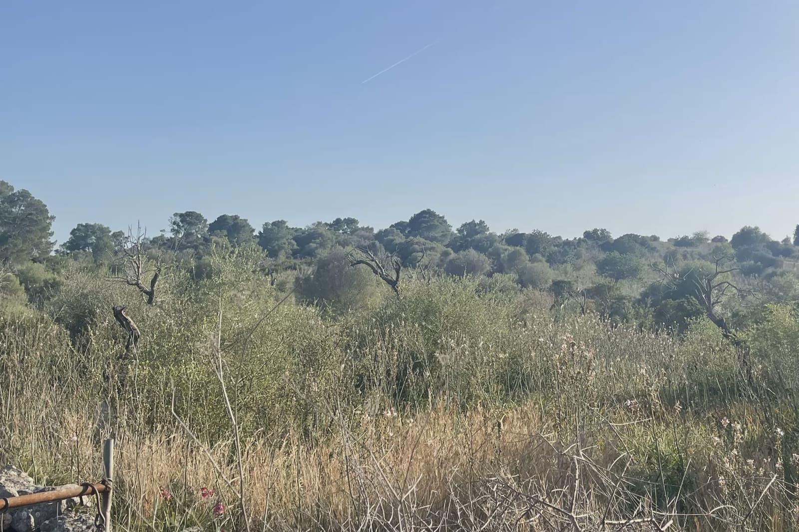 Grond te koop in Son Carrio - € 420.000 (Ref: 9761271)